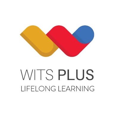 Wits Plus Logo
